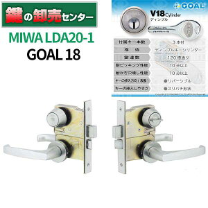 MIWA abN GOAL S[ V18V_[ LDA20-1