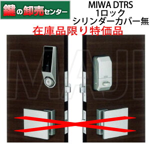 y݌Ɍzy1bN^CvzyV_[Jo[zMIWA,abN DTRS-D01DA dT^[jbg (JM)  