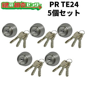 y12܂ł̒œoׁz5Zbg MIWA,abN MCY-262 (PR TE24.CY STF) EtL[FL[3{ EST (Vo[) pV_[ PRV_[ SWLSP^Cv (TE24)  (JM)  V