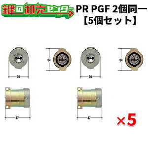 �y5�Z�b�g�zPR PGF.CY 2���� �E�t���L�[�F�����L�[6�{ �ESF (�V���o�[) �� (�J�M) ��� ����