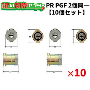 �y10�Z�b�g�zPR PGF.CY 2���� �E�t���L�[�F�����L�[6�{ �ESF (�V���o�[) �� (�J�M) ��� ����