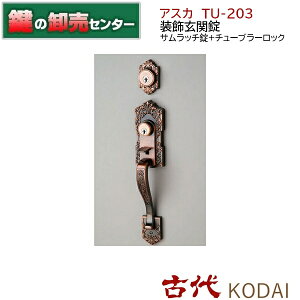 Ñ KODAI R_C AXJ TU-203 ֏ Tb`+`[u[bNic[bNj obNZbgF60mm J[FGB iJMjց@@@ Ñ(NF)AXJ TU-203 GB 60×33`43 