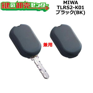 MIWA,abN RaccessiNZXjV[Y L[wbhL[E^OL[p^Cv TLRS2-K01 ubN(BK)F/u^̂ TLRS2K2.CSA