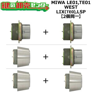 MIWA LE01,TE01 p WEST,EGXg LIX(TE0),LSP 2V_[ (JM)  