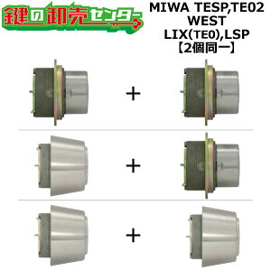 MIWA TESP,TE02 p WEST,EGXg LIX(TE0),LSP 2V_[ (JM)  