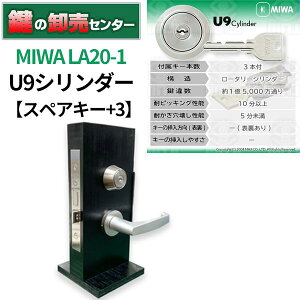 yXyAL[+3zMIWA,abN U9V_[ LA20-1 EVo[ (JM)  