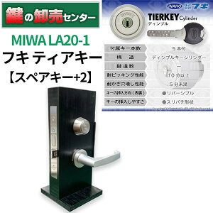 yXyAL[+2zMIWA abN FUKI tL eBAL[V_[ LA20-1 EVo[ (JM)  