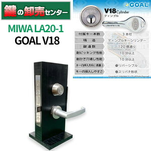 MIWA abN GOAL S[ V18V_[ LA20-1 EVo[ (JM)  