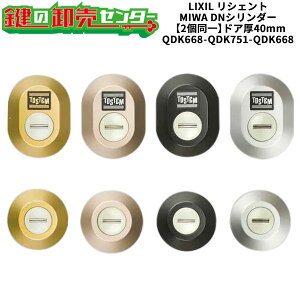 �y2����z�yQDK668-QDK751-QDK668�z���V�F���g �V���b�^�[�t ��(�J�M) ���� ��ւ��V�����_�[�Z�b�g DN�V�����_�[2���� �h�A��40mm�p �W���L�[5�{�t�� LIXIL�i���N�V���jTOSTEM�i�g�X�e���jQDK668-QDK7