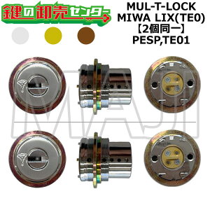 MUL-T-LOCK,�}���e�B���b�N PESP,TE01 �������p MIWA LIX(TE0) 2����V�����_�[ ��(�J�M) ���� ���