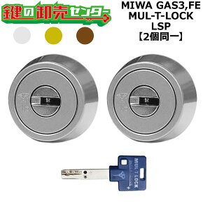 MIWA GAS3,FE �������p MUL-T-LOCK,�}���e�B���b�N LSP 2����V�����_�[ ��(�J�M) ���� ���