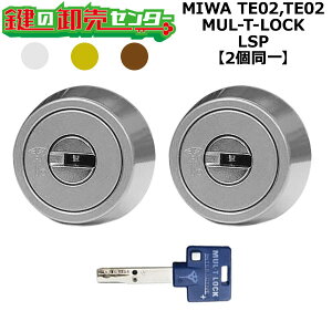 MIWA TE02,TE02 �������p MUL-T-LOCK,�}���e�B���b�N LSP 2����V�����_�[ ��(�J�M) ���� ���