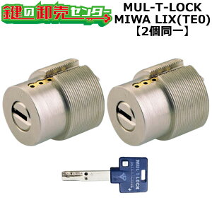 yIvVI\izMUL-T-LOCK LIXp  (JM)  ւV_[E2L[ZbgWL[3{t