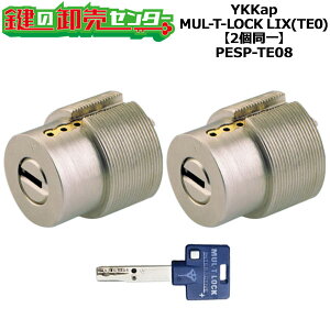�yMIWA PESP MIWA TE-08�zMUL-T-LOCK�V�����_�[ LIX�p �h�A��28�`43mm�p 2����L�[�V�����_�[ �E�V���o�[/�S�[���h/�u���E�� �W���L�[3�{�t��