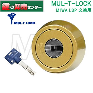 yIvVI\izyS[hFzMUL-T-LOCK }eBbN MIWA abN LSPpV_[ (JM)  