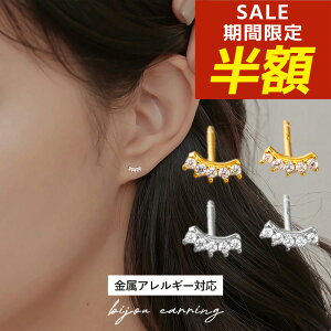 yԌIzIz߃sAX sAX Ԃ Vv  ꗱ WRjA ɏ  ~j sAX ςȂ silver925 Vo[925 18 18k R[eBO S[h L[r