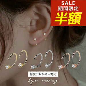 yԌIzIzςȂ sAX AM[ t[vsAX Vv sAX ɏ Ԃ silver925 tbN S[h Vo[ sNS[h Vo[925 C^ C  ~