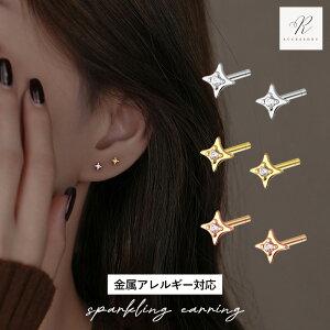 _^sAX Vv  ߃sAX Ԃ ɏ ~j  X^[ sAX ςȂ  silver925 Vo[925 18k R[eBO AM[ S[h sNS[