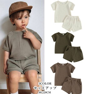 ZbgAbv xr[ j̎q LbY q ㉺Zbg TVc V[gpc N[lbN bt n Vv |Pbg EGXgS Ԃ K  킢 ct 