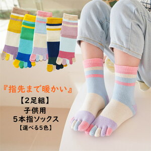 y2gzq C qpܖ{w\bNX LbY V[g\bNX  ܖ{w\bNX 5{w j̎q ̎q X|[c\bNX WjA  g   C ʉ ct 