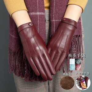 {v fB[X X}[gtH X}z {v U[O[u U[ V[vXL rv Vv ^b`plΉ  h N ㎿ g h ĂԂ U