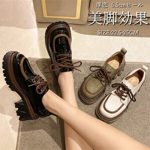 fB[X C JWAV[Y  Xj[J[ 5.5cmq[ `L[q[ PUv ₷ ʋ ʊw ItBX ɂ Vv r t H V 