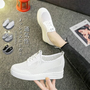 Xj[J[ Xb| fB[X bVV[Y y Cq[Xj[J[ ʋC r  IV K ʊw ʋ _炩 JWA ItBX  ʋ ₷  