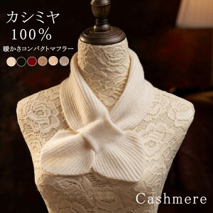 JV~100 RpNg}t[ lbNEH[}[ JV~A fB[X n Vv ݃^Cv ~j V[g ~j}t[ jbg v` Xk[h ₦Ƃ h ΍yVRf