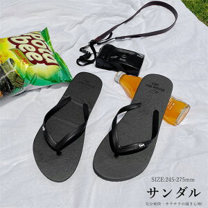 T_ Y fB[X gOT_ ₷ T_ tbvT_ ؂ s 傫TCY ubN  t T_ JWA ItBX X|[c r[` C lC 