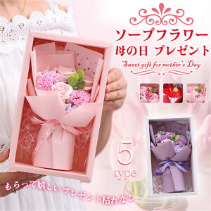 \[vt[ ԑ [Y Ό  ͂Ȃ Mtg {bNX lC a LO o^C jv[g Ϗܗp 蕨 v[g pI IV