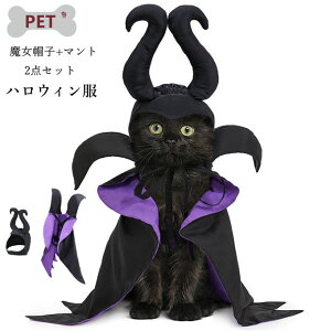 nEB ybg }g Xq 2_Zbg  L RX`[ EȒP TCY\ nEB ybgP[v ^ Lp RX`[ ANZT[ ʐ^ RXv 