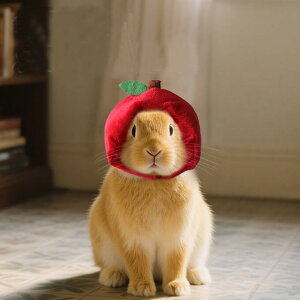 ybgpXq L ^ bg Ԃ蕨 S RXv  nEB Cxg p[eB Be  Lbv  ʕ ybgObY Lpi pi 킢