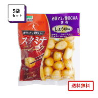 東海漬物 スタミナニンニク しょうゆ味　70g 5袋 酒の肴 つけもの おつまみ 送料無料