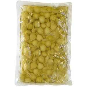 Ђ傤 ΒЂ  500g 10 1P[X Ɩp j N ̐Hi 