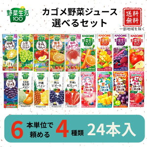 JSIׂZbg 6{Pʂ4ޑIׂZbg 24{yJSzؐ100 {̈i Gߌ 