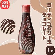 【送料無料】日世 コーティングソース（チョコレート）320g×1本 固まるソース チョコ パフェ アイス ク…