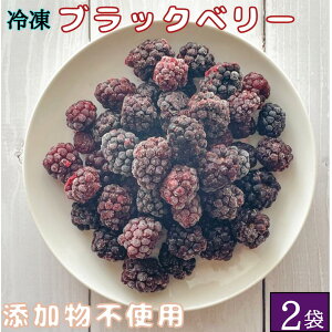 �y�Ⓚ�z�u���b�N�x���[ 1kg(500g×2��) �Y�����s�g�p �Ⓚ�t���[�c �Ⓚ�H�i �ʕ� �J�b�g�t���[�c �x���[ �X���[�W�[ ���[�O���g �g�b�s���O �ȒP