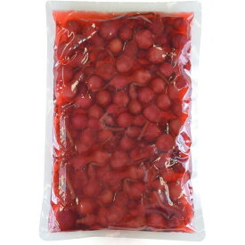 ひょうたん しば漬け 赤 500g 10袋 1ケース 業務用 お祝い 縁起物 しいの食品 送料無料