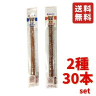 伊藤ハム パブスティック 辛口 プレーン あらびき 2種セット 17g 30本 お菓子 晩酌 サラミ カルパス ジャ…