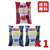 ミックスベリー 500g ×1袋 ブルーベリー ×2袋フルーツ VeryBerry 冷凍 ノースイ 冷凍フルーツ 大容量 …