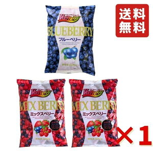 ~bNXx[ 500g ×2 u[x[ ×1܃t[c VeryBerry Ⓚ m[XC Ⓚt[c e C`S u[x[ Yx[ Nx[ 
