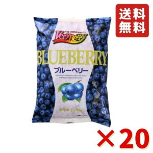 u[x[ 500g 20 t[c BlueBerry Ⓚ m[XC Ⓚt[c Ɩp e  [Og ACXN[ N[v