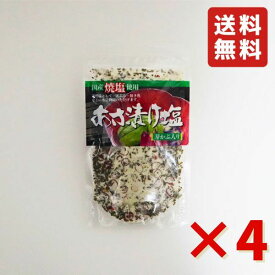 あさ漬け塩 160g 4袋 浅漬け塩 万能調味料 出汁塩 調味塩 浅漬け 漬物 送料無料