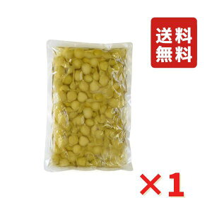 Ђ傤 ΒЂ  500g Ɩp j N ̐Hi Hi O |Cg |Cg 