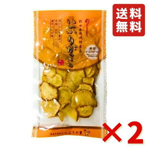 _ƐY@l Ԃ̗ Ԃ肪XCX 100g 2 Ԃ肪 Hc Е Yi   Ђ  HׂTCY