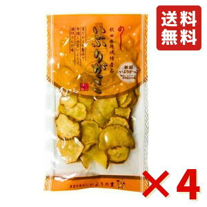 _ƐY@l Ԃ̗ Ԃ肪XCX 100g 4 Ԃ肪 Hc Е Yi   Ђ  HׂTCY