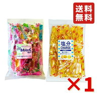 坂製菓 プチこんにゃくゼリー 塩分チャージゼリー 1kg （約106本) 2種セット 凍らせても美味しい シャー…
