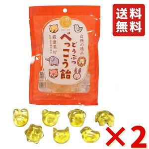 Y Y ǂԂ ׂ 65g ×2 i28jBނ  َq ǂԂׂ 