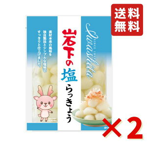 ≺ ≺̉傤 90g 2 ≺Hi 傤 J[ gbsO Е HׂTCY ܂ 傤 