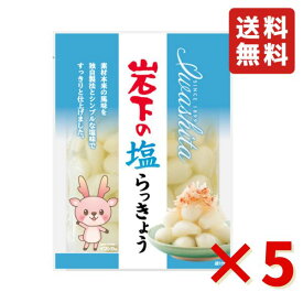 岩下 岩下の塩らっきょう 90g 5袋 岩下食品 塩らっきょう カレー トッピング 漬物 食べきりサイズ おつまみ らっきょう 送料無料